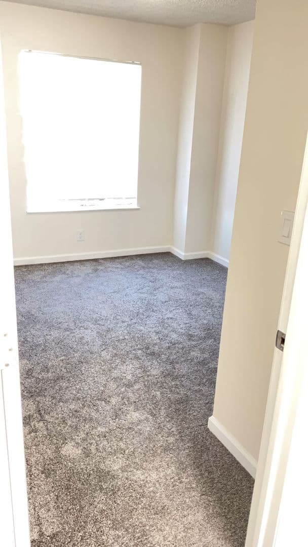 Richmond Apartment: 537 Nevin Ave