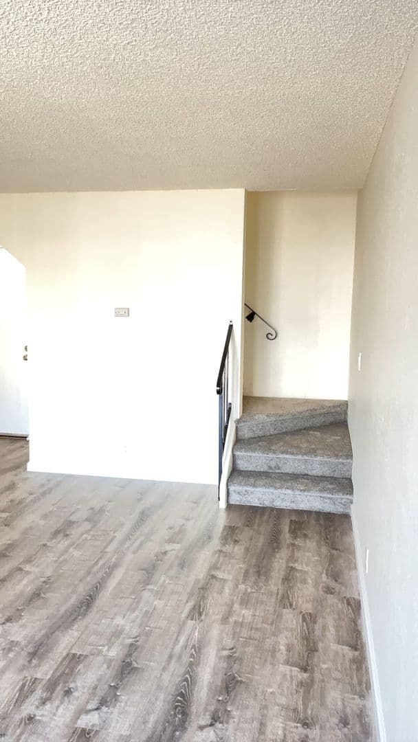 Richmond Apartment: 537 Nevin Ave