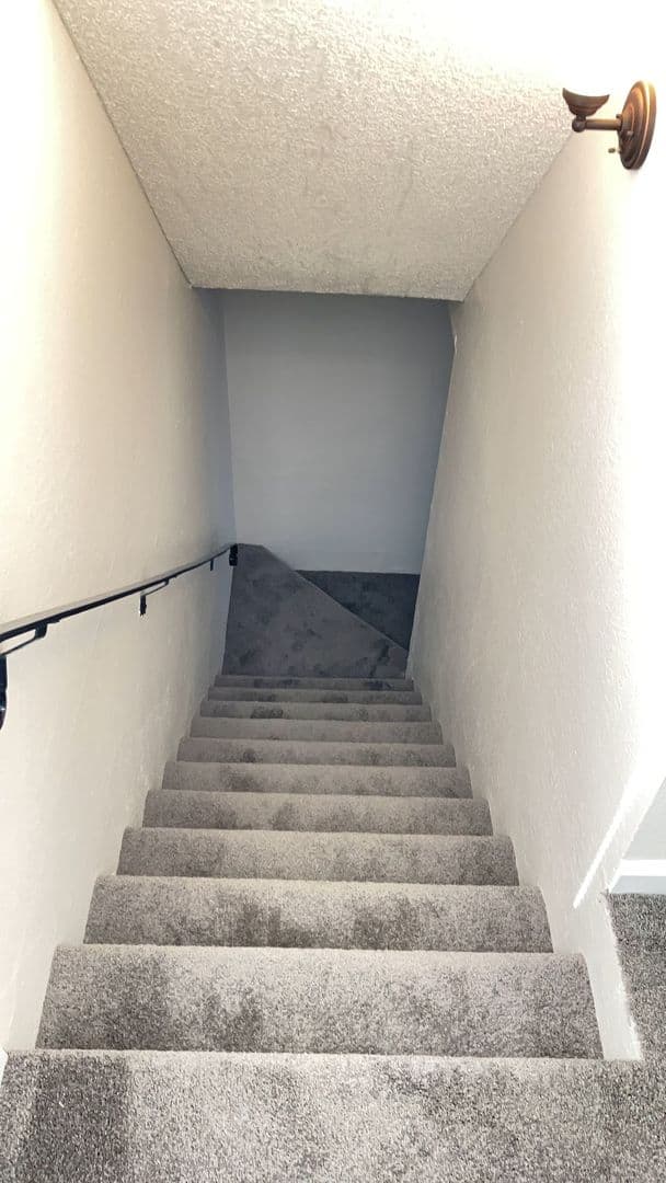 Richmond Apartment: 537 Nevin Ave
