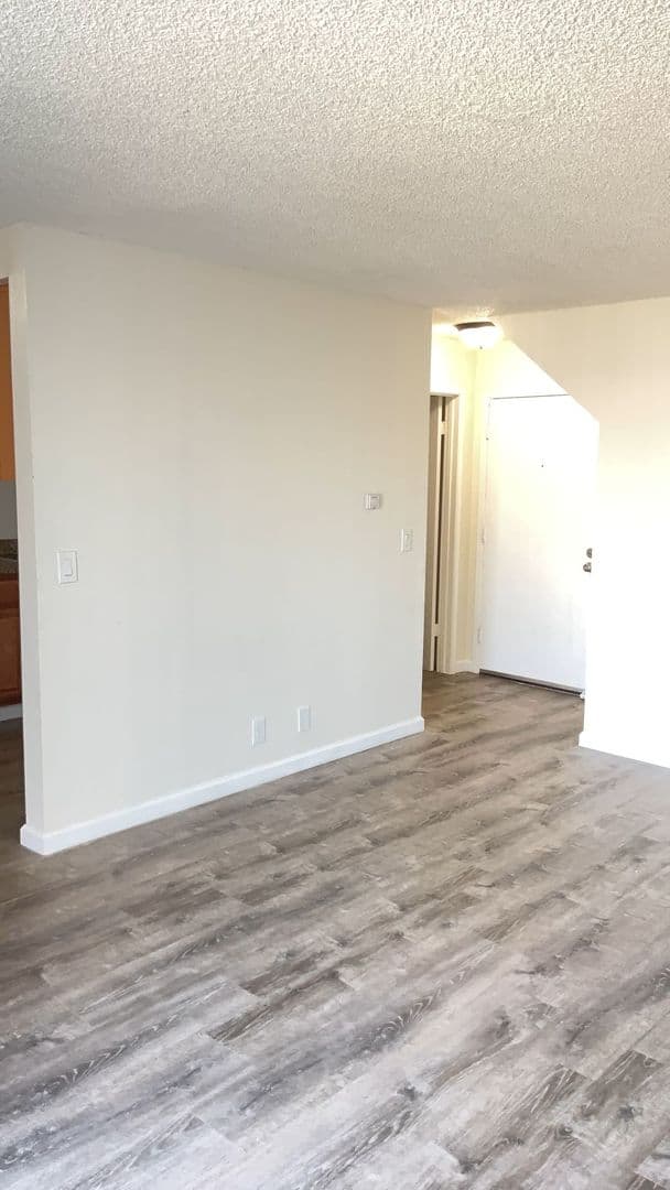 Richmond Apartment: 537 Nevin Ave
