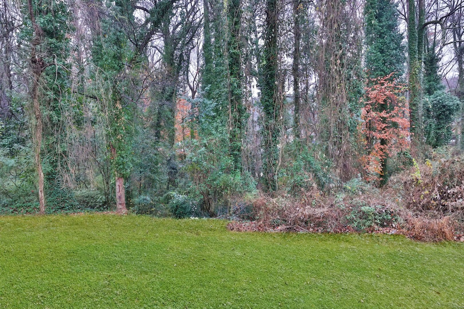 Atlanta House: 1465 Willis Mill Rd SW