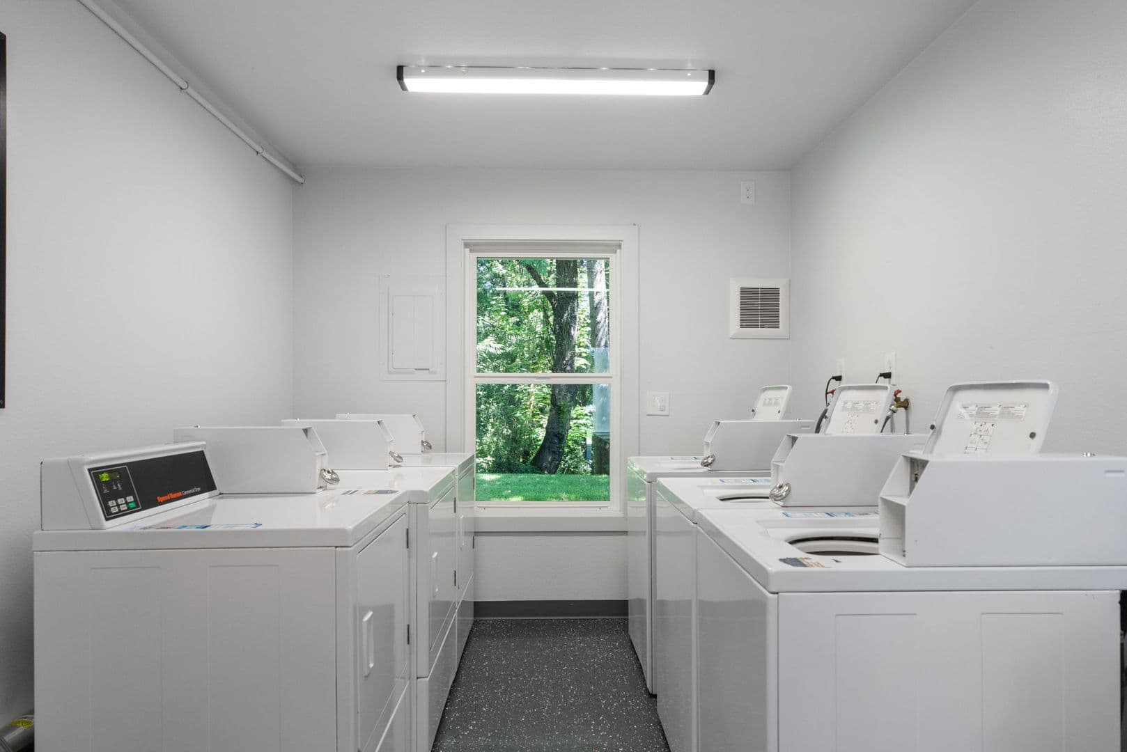 Vancouver Apartment: 3201 E 33rd St