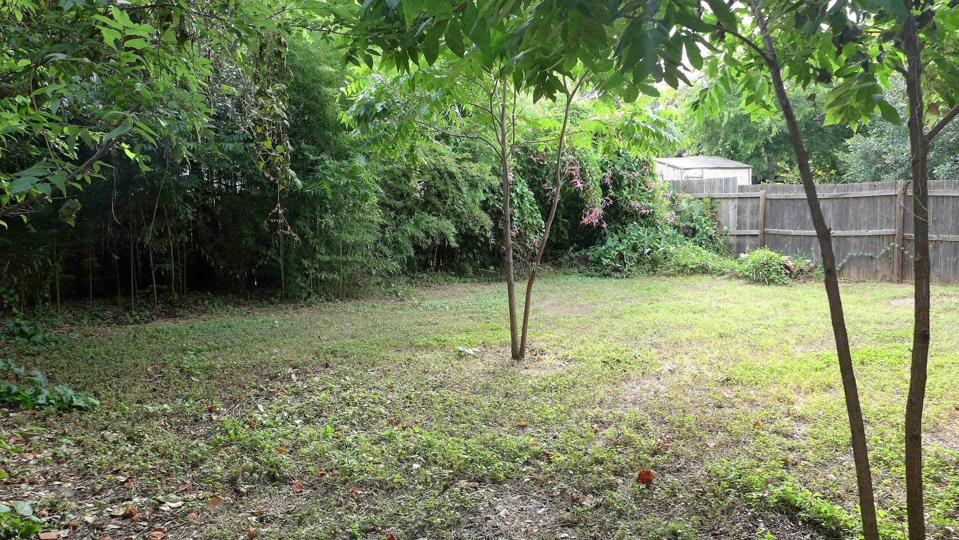 Austin House: 2006 Hamilton Ave