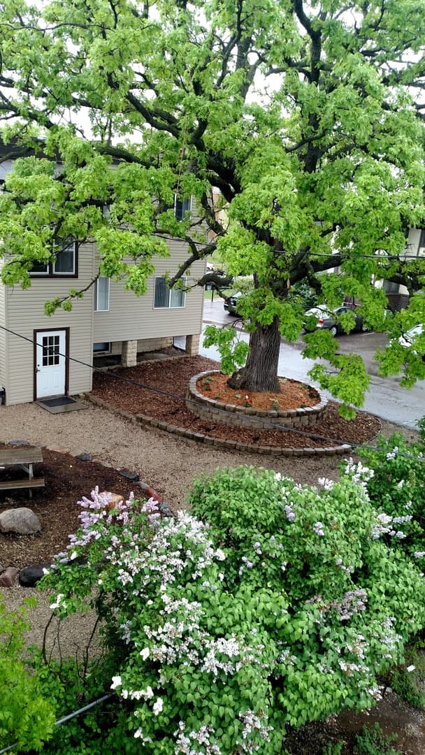 St Paul Apartment: 508 FRY STREET