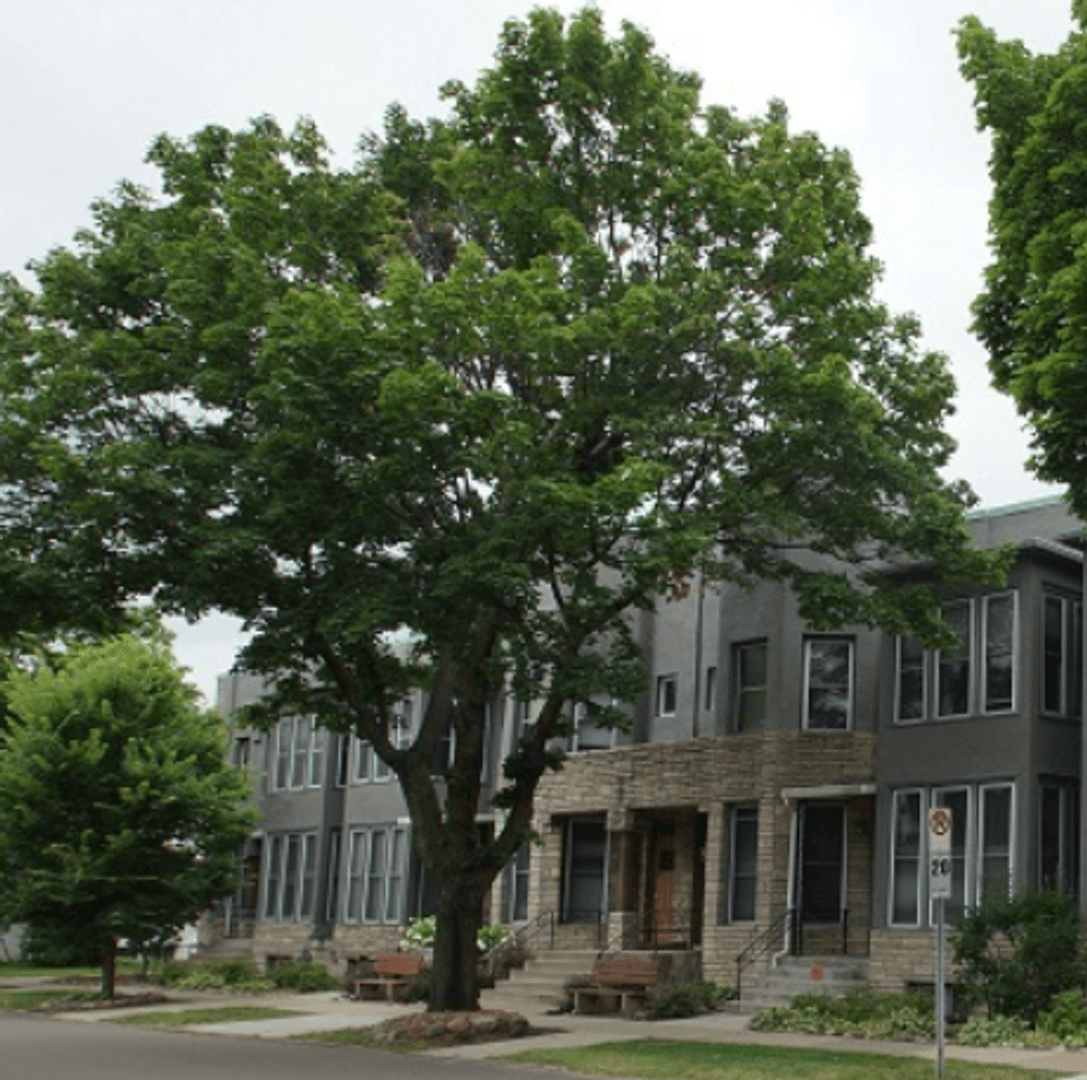 St Paul Apartment: 91 Victoria Street