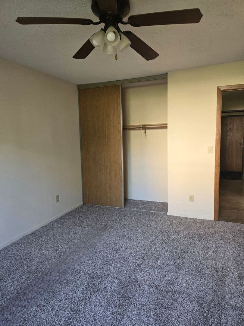 Buffalo Apartment: 911 6th Avenue NE