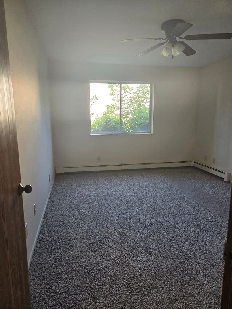Buffalo Apartment: 911 6th Avenue NE