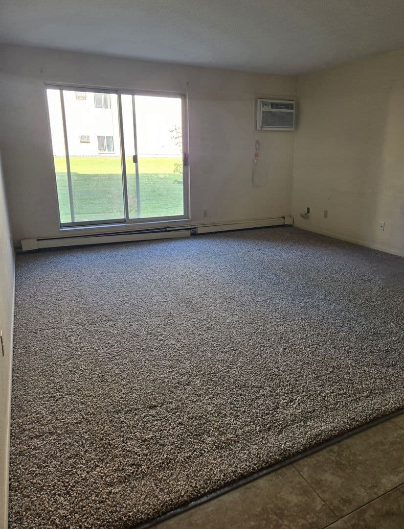 Buffalo Apartment: 911 6th Avenue NE