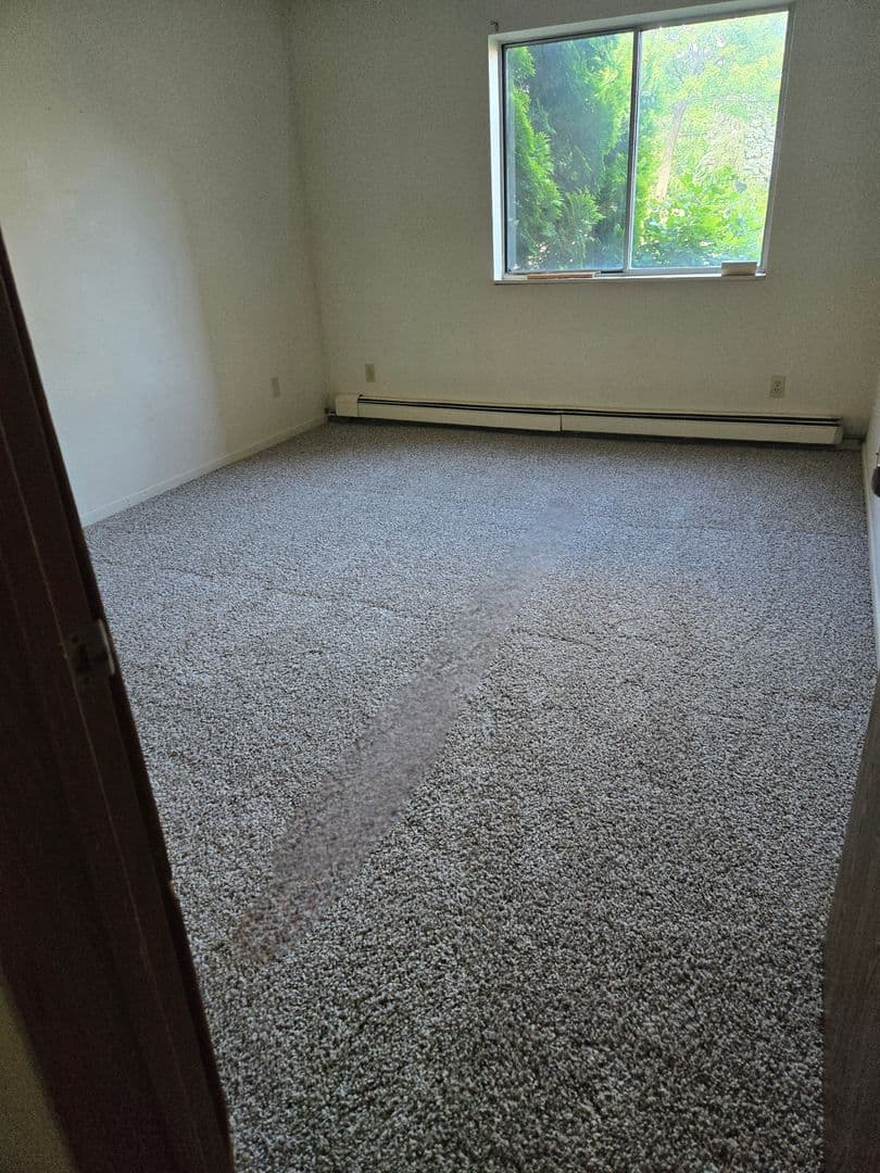 Buffalo Apartment: 911 6th Avenue NE