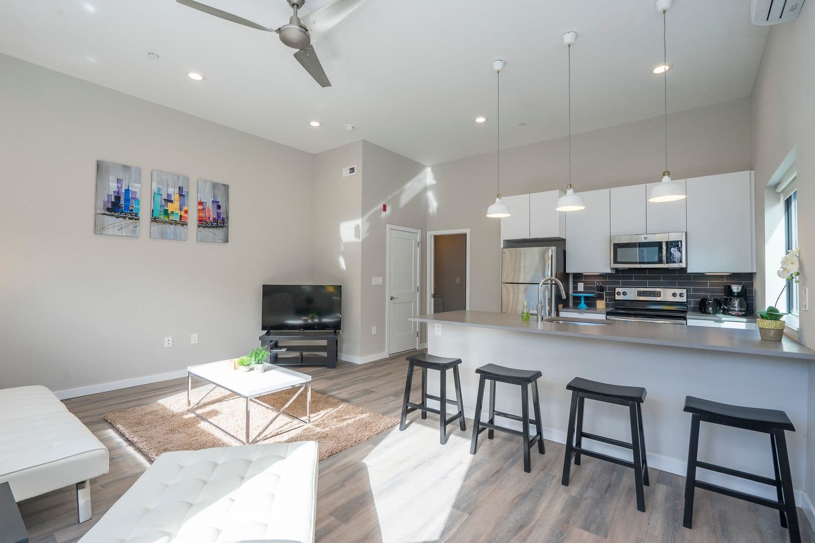 Philadelphia Apartment: 2026 Amber St
