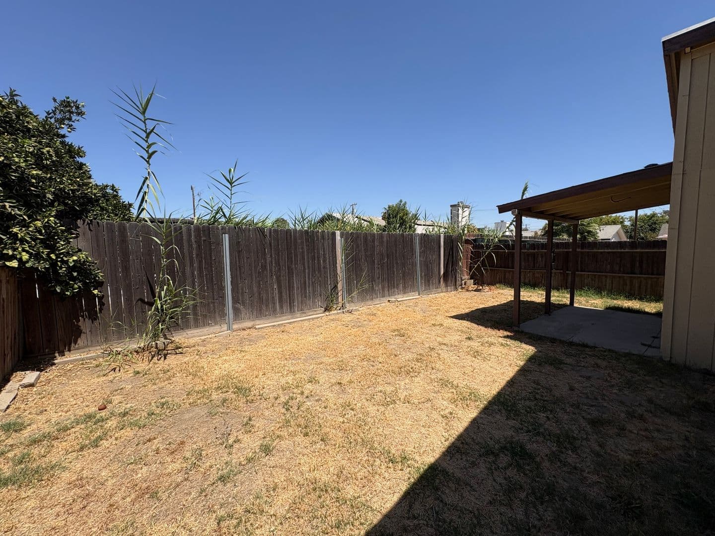 Visalia House: 244 East Prospect Avenue