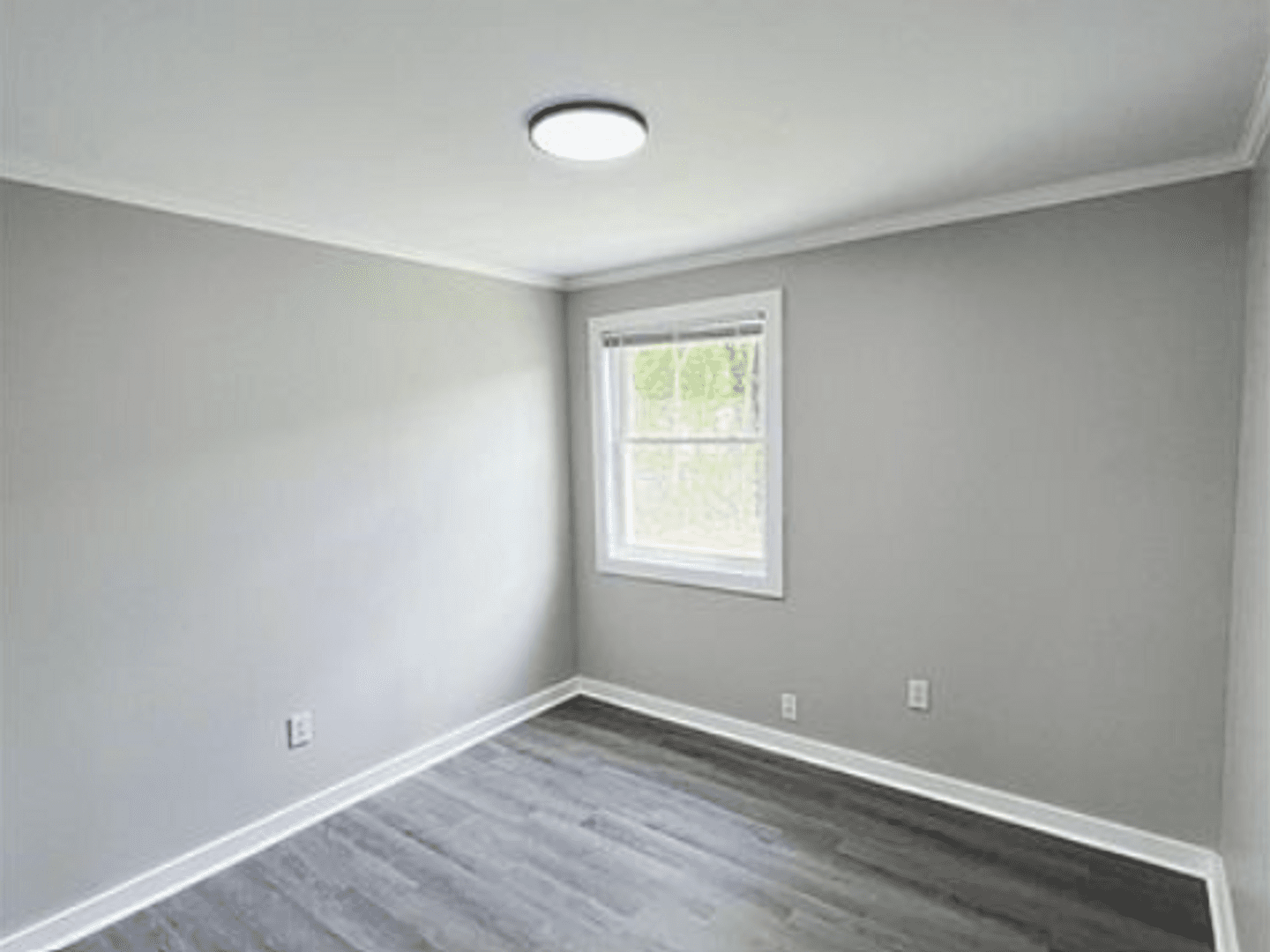 Raleigh Apartment: 727 E Lenoir Street