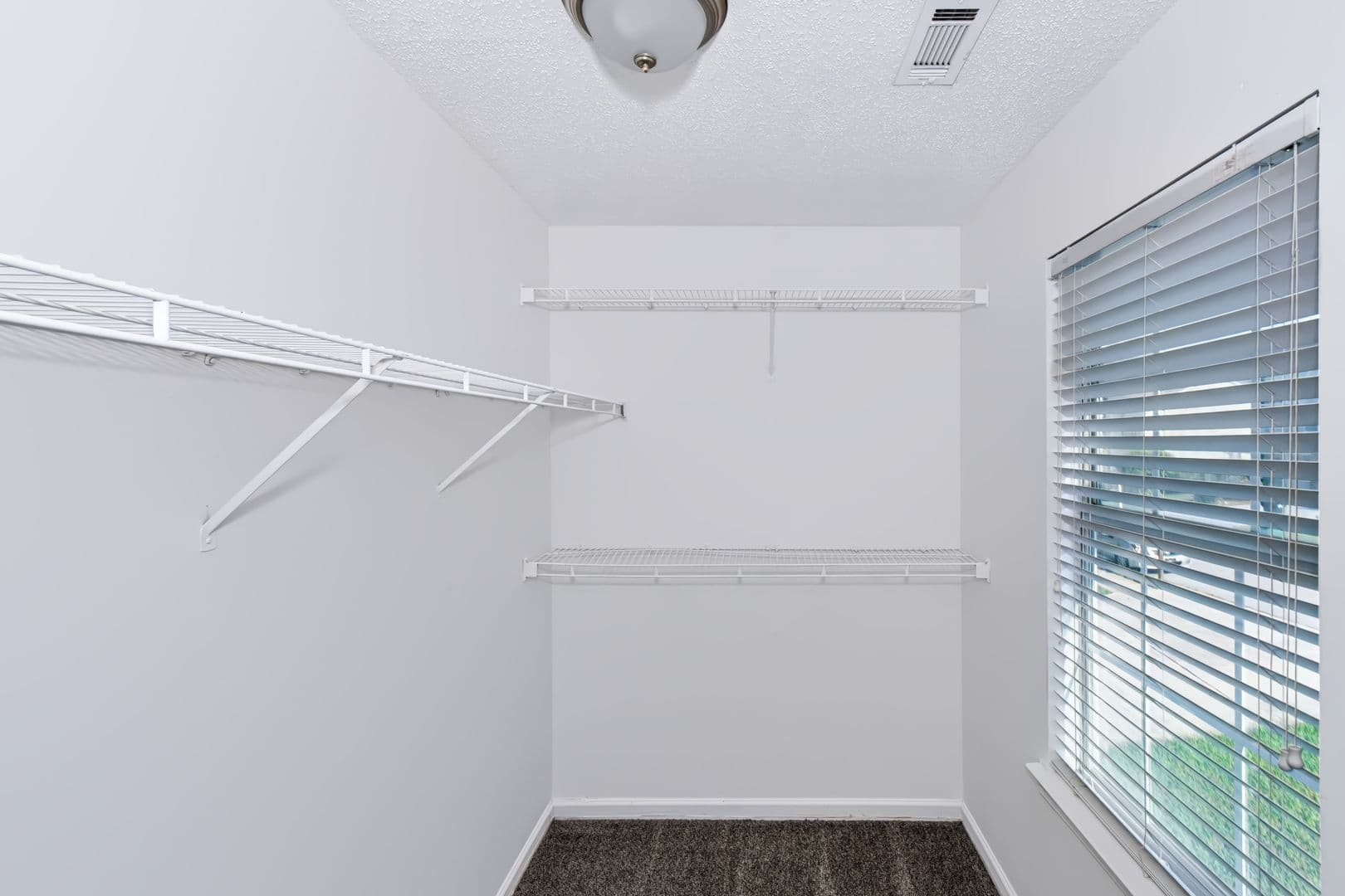 Rex House: 3338 Waggoner Way