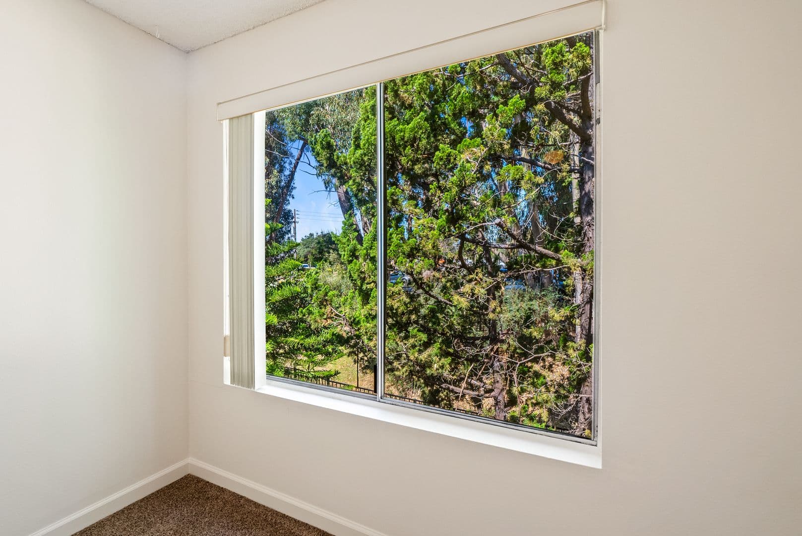 San Luis Obispo Apartment: 2804 Augusta Street