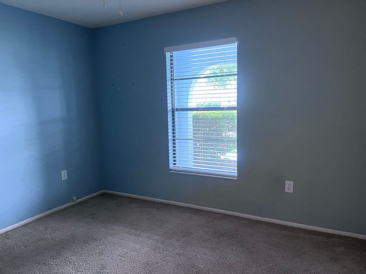 VENICE House: 435 BELMONT AVENUE