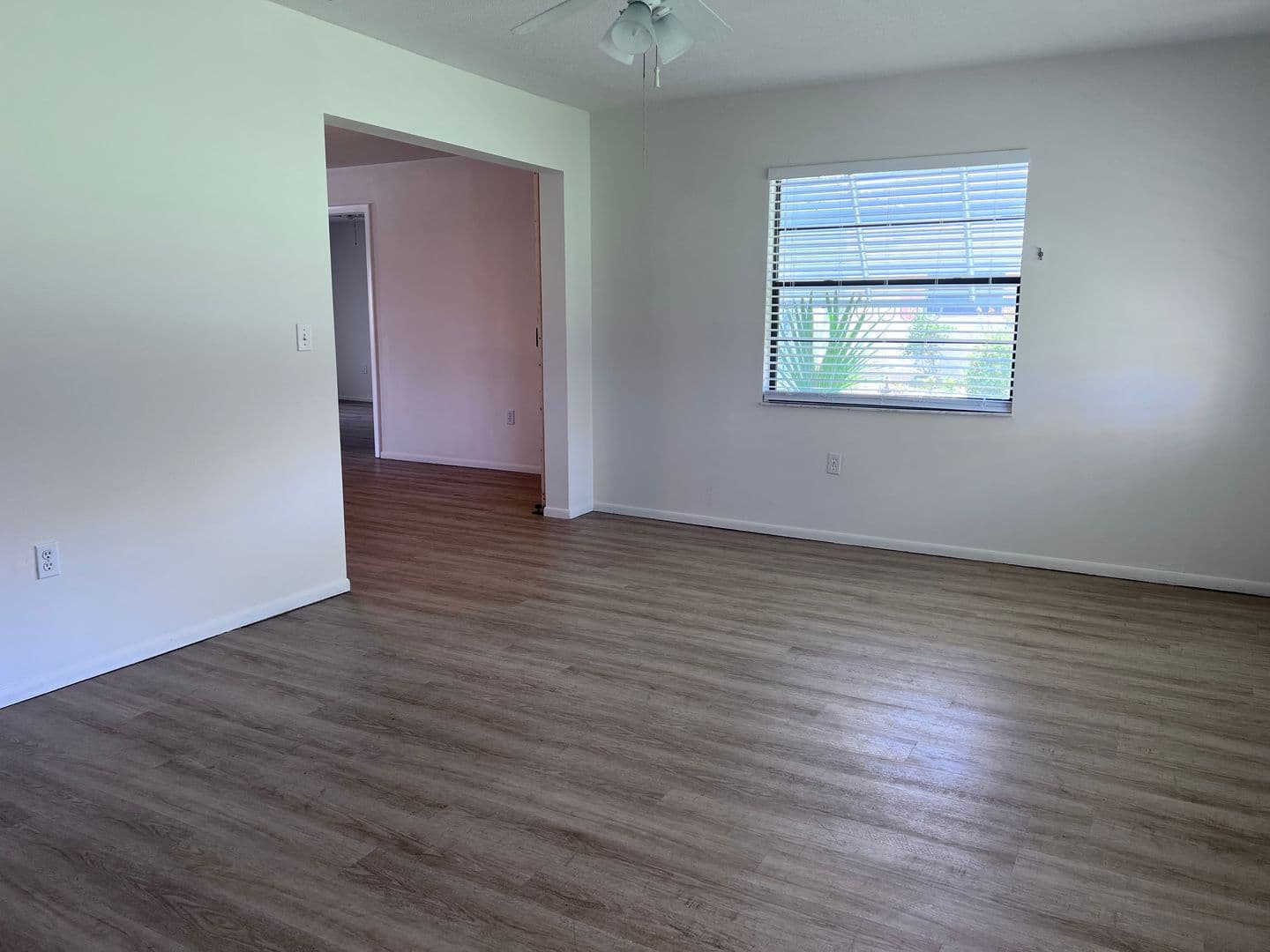 VENICE House: 435 BELMONT AVENUE