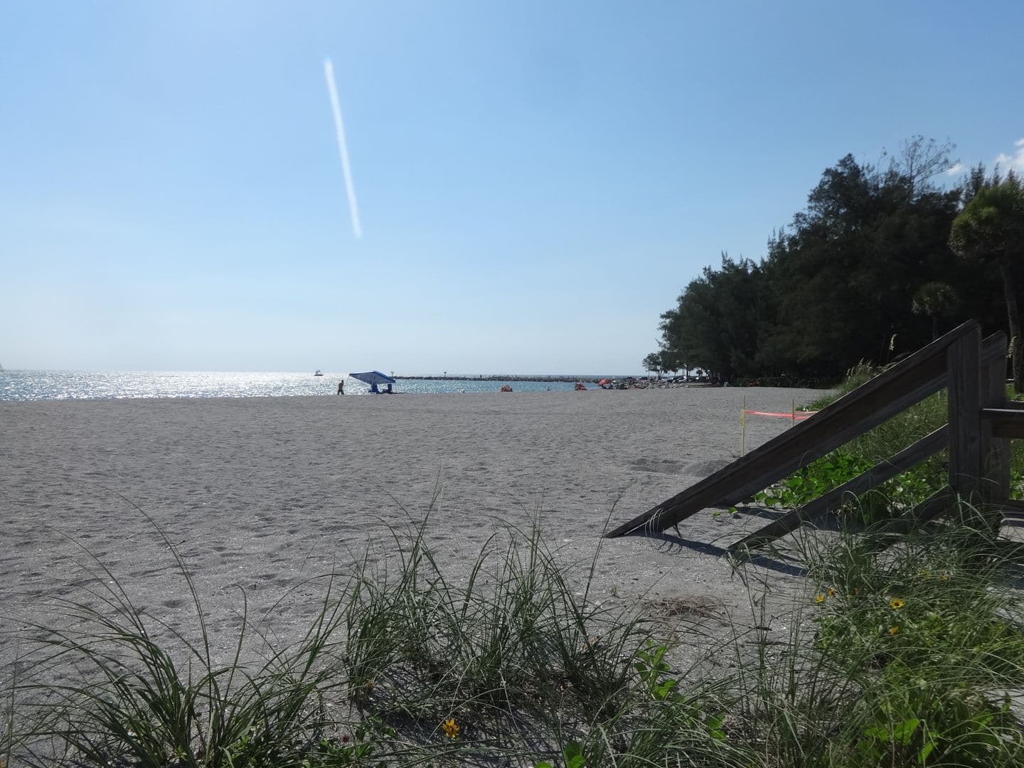 VENICE Condo: 1555 TARPON CENTER DR #B105