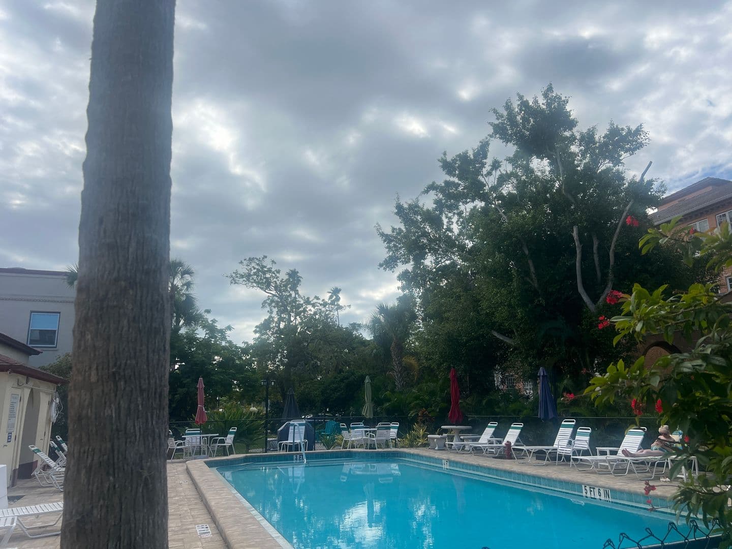 VENICE Condo: 238 TAMPA AVE WEST UNIT 214