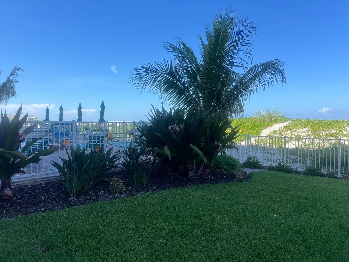 Venice Condo: 255 The Esplanade N #105