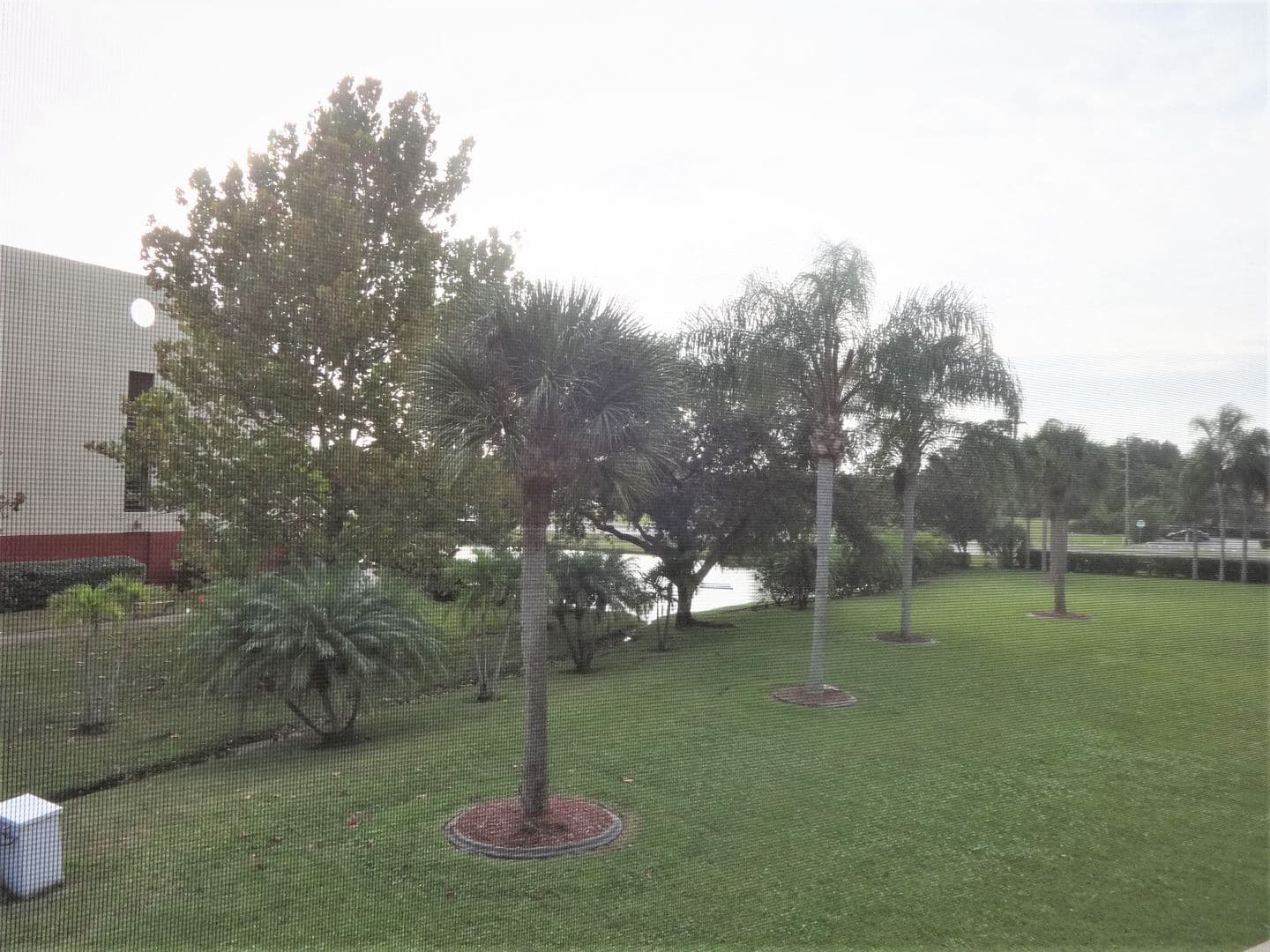 VENICE Condo: 102 CAPRI ISLES BLVD., #210