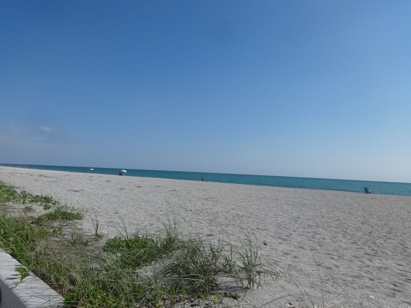 VENICE Condo: 1555 TARPON CENTER DR #B105