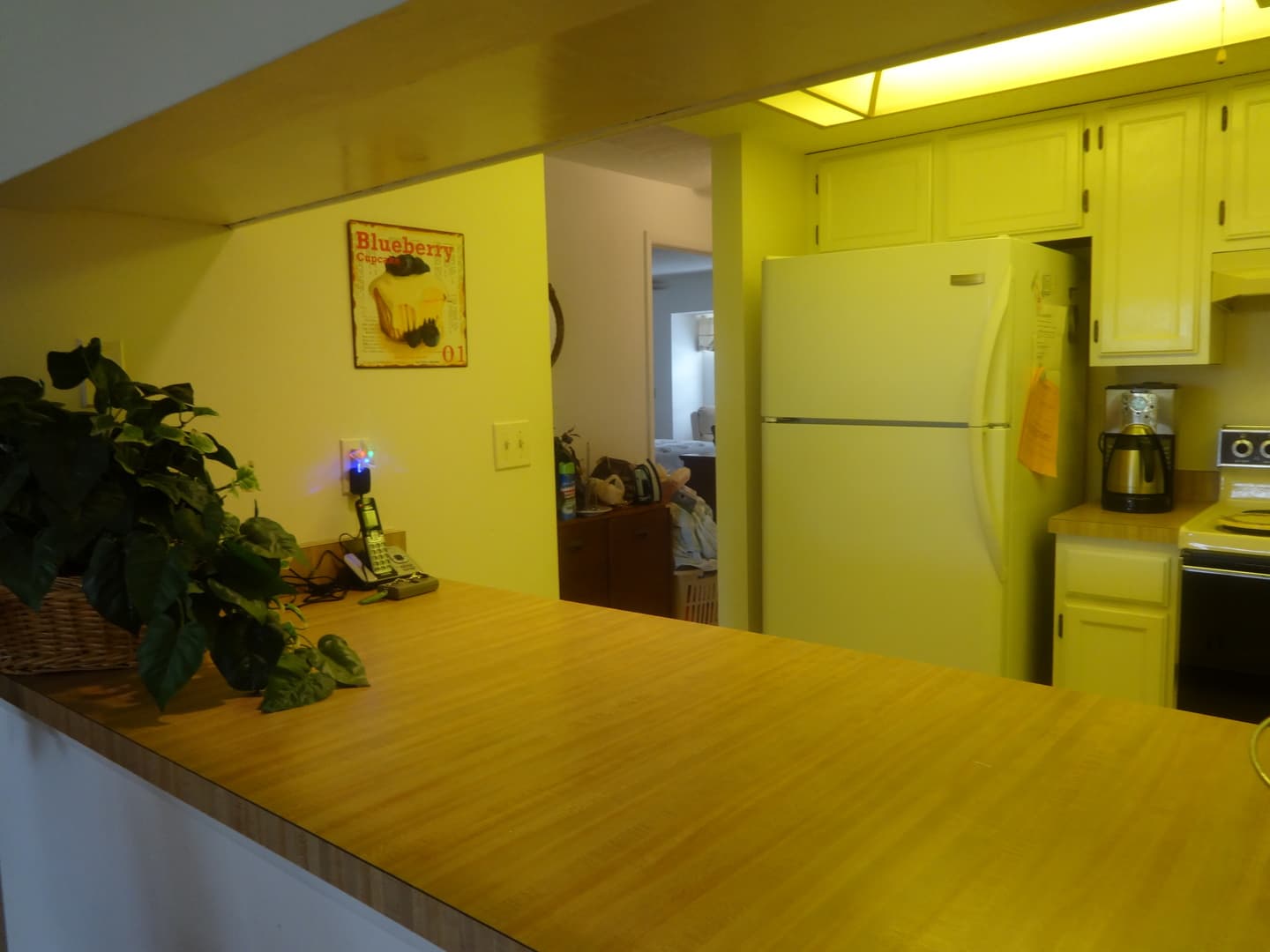VENICE House: 1211 CAPRI ISLES BLVD., #55