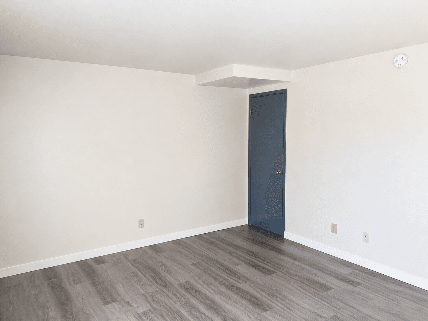 Kent Apartment: 703 Woodford Ave N