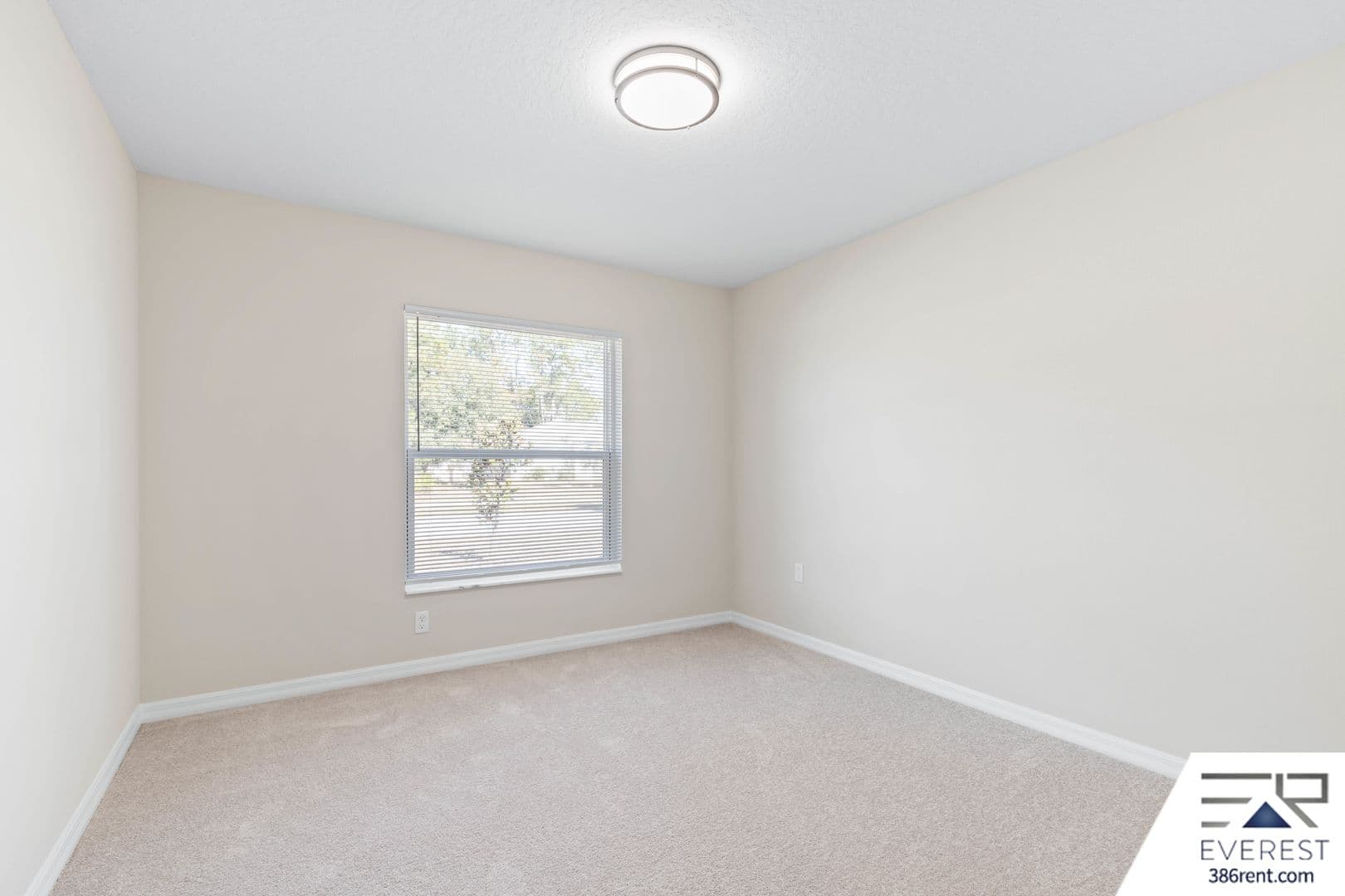 Palm Coast House: 11 Burning Tree Place