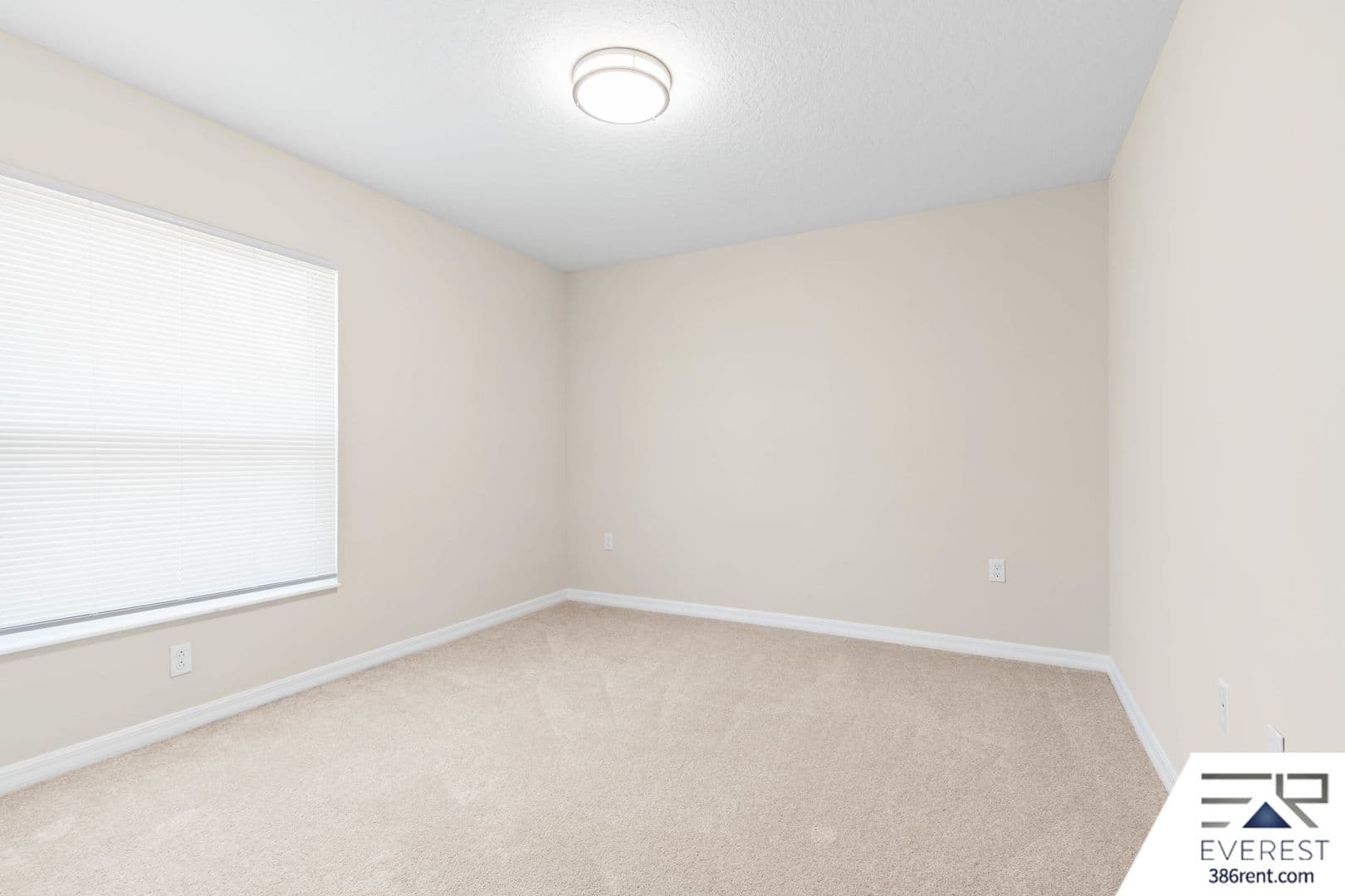 Palm Coast House: 11 Burning Tree Place