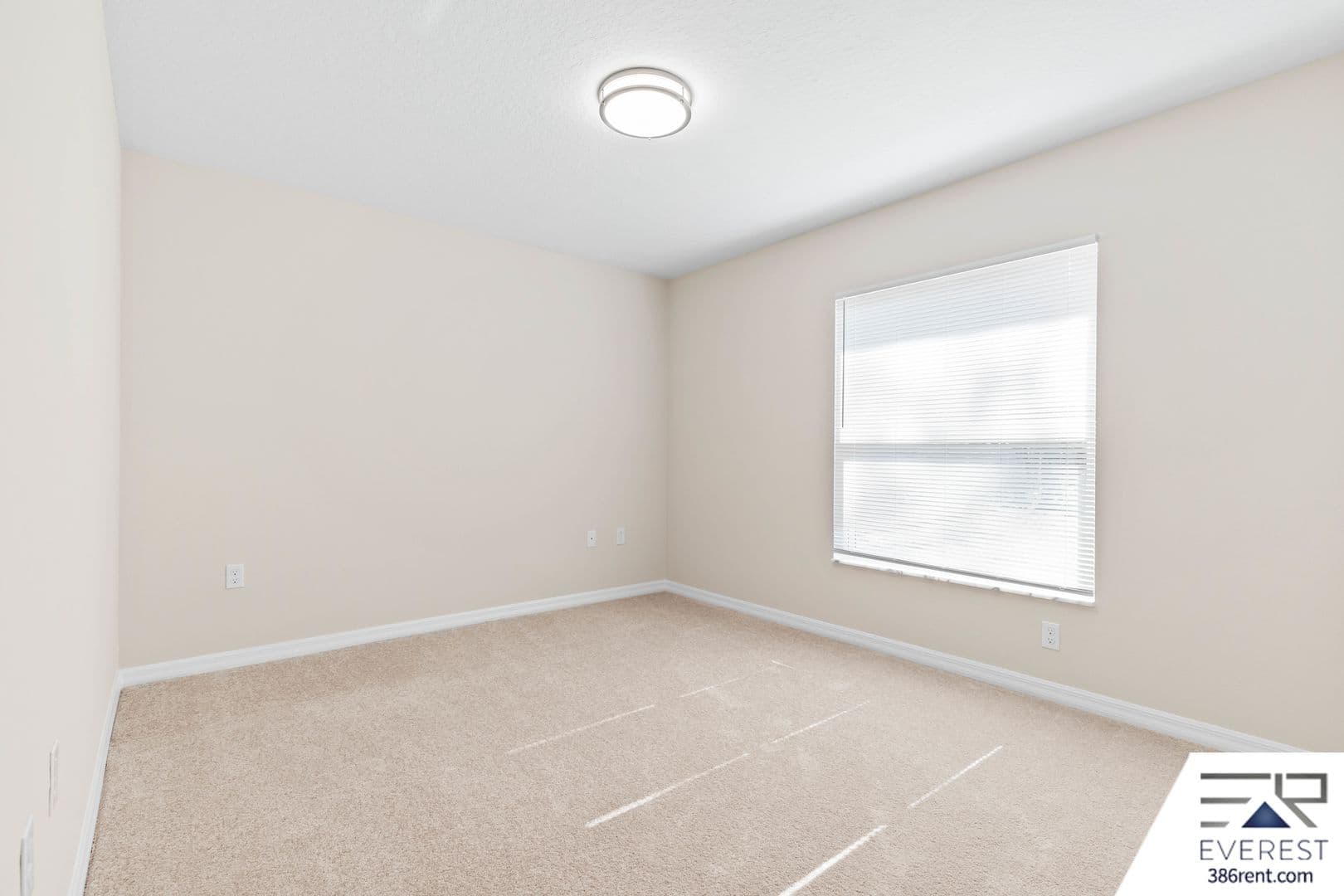 Palm Coast House: 11 Burning Tree Place