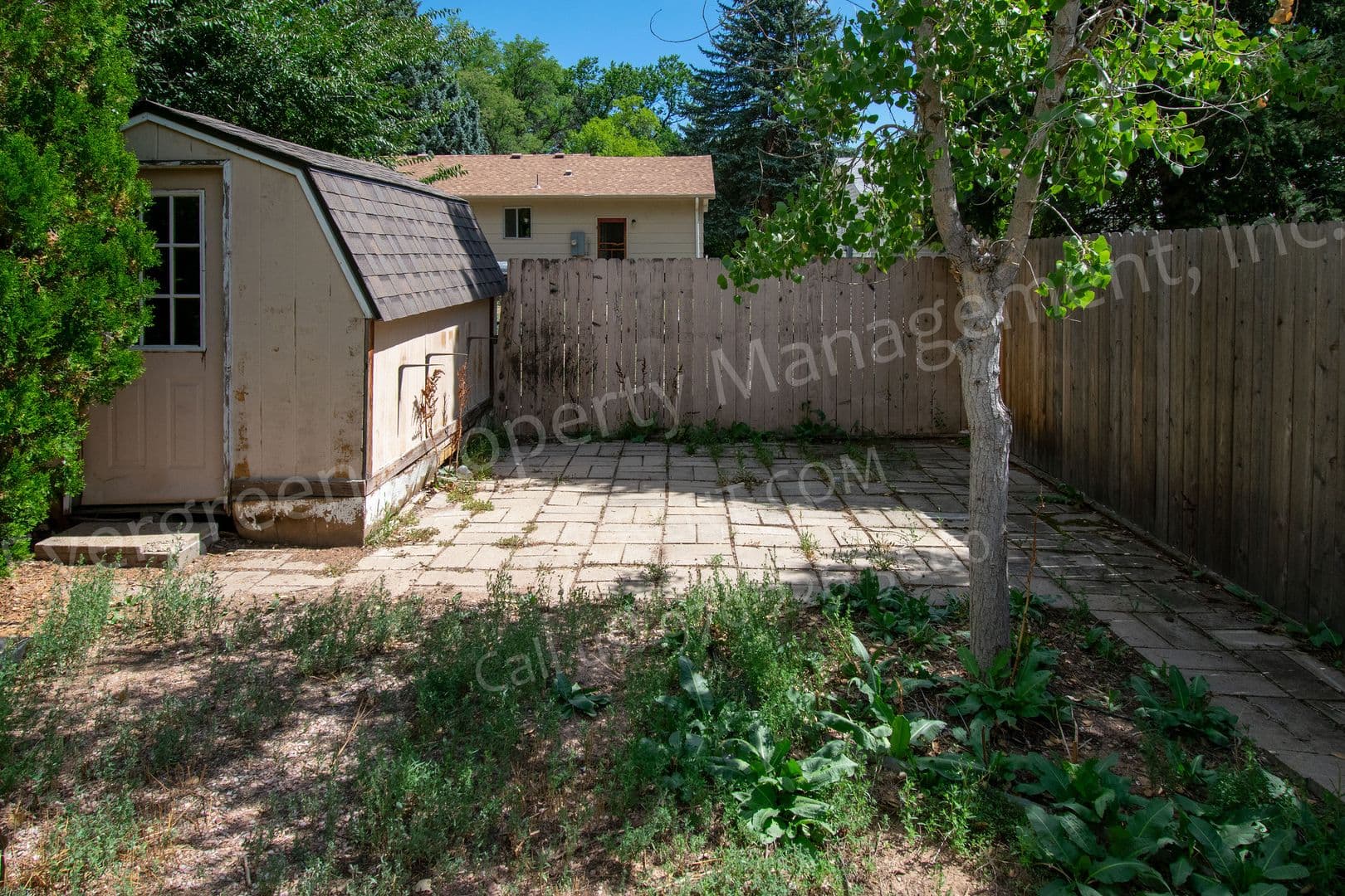 Fort Collins Apartment: 1228 Southridge Dr