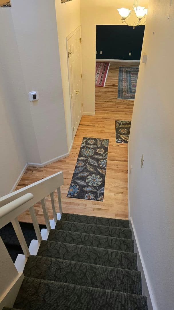 Fort Collins House: 636 Heather Ct