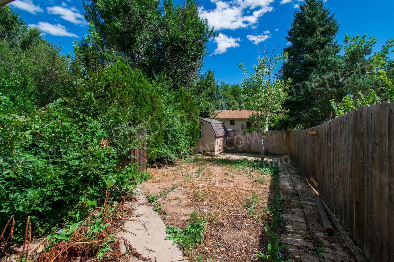 Fort Collins Apartment: 1228 Southridge Dr