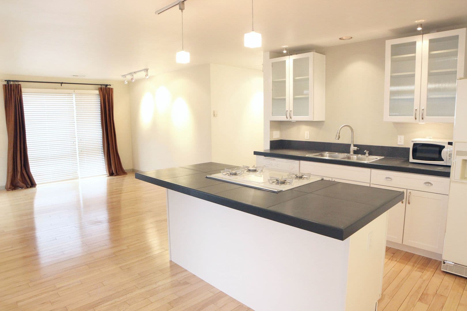 Fort Collins Apartment: 419 W Mountain Ave