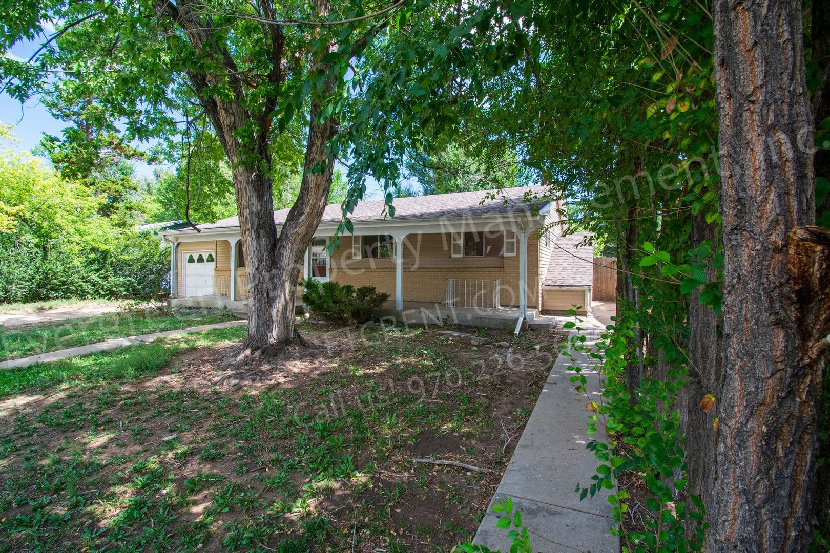 Fort Collins Apartment: 1228 Southridge Dr
