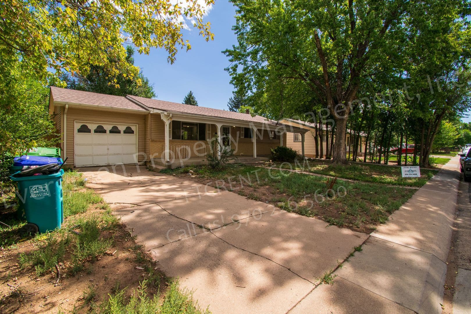 Fort Collins Apartment: 1228 Southridge Dr