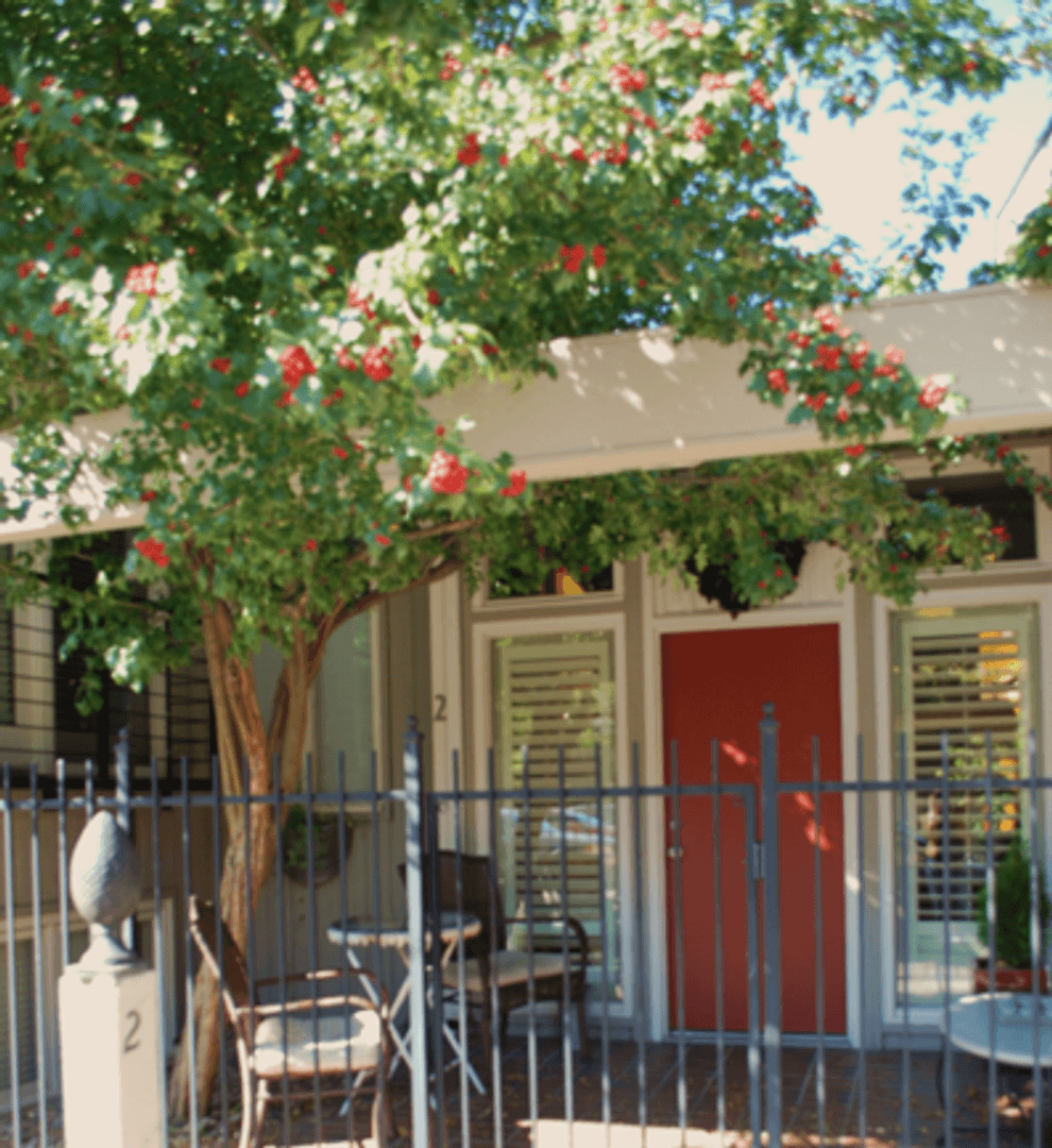 Fort Collins Apartment: 419 W Mountain Ave