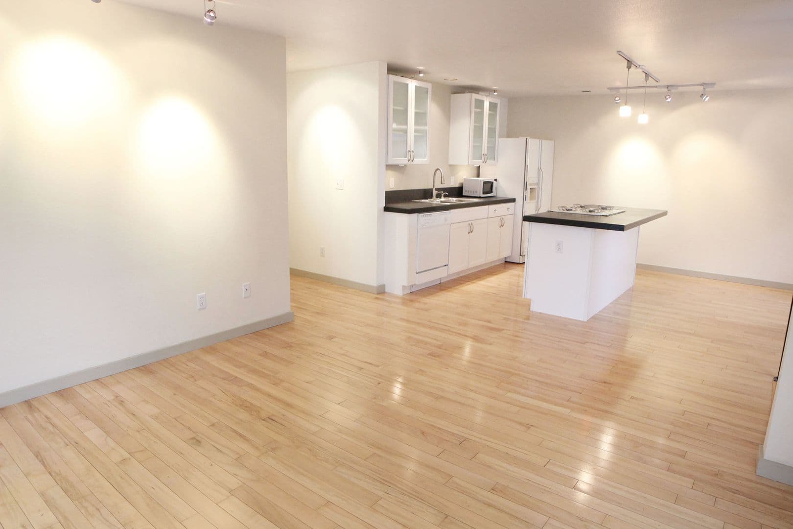Fort Collins Apartment: 419 W Mountain Ave