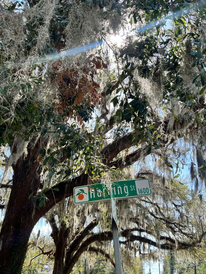 Orlando House: 1303 E Harding St