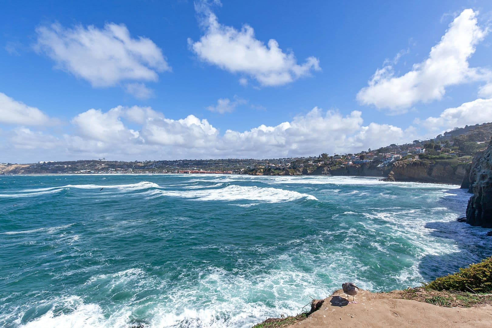 La Jolla Condo: 1311 Cave st #B