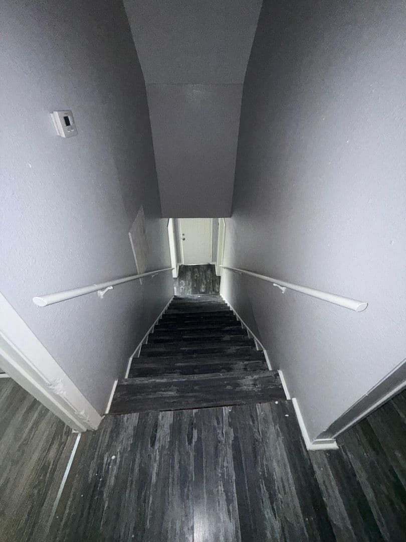 Houston Apartment: 3012 Live Oak St