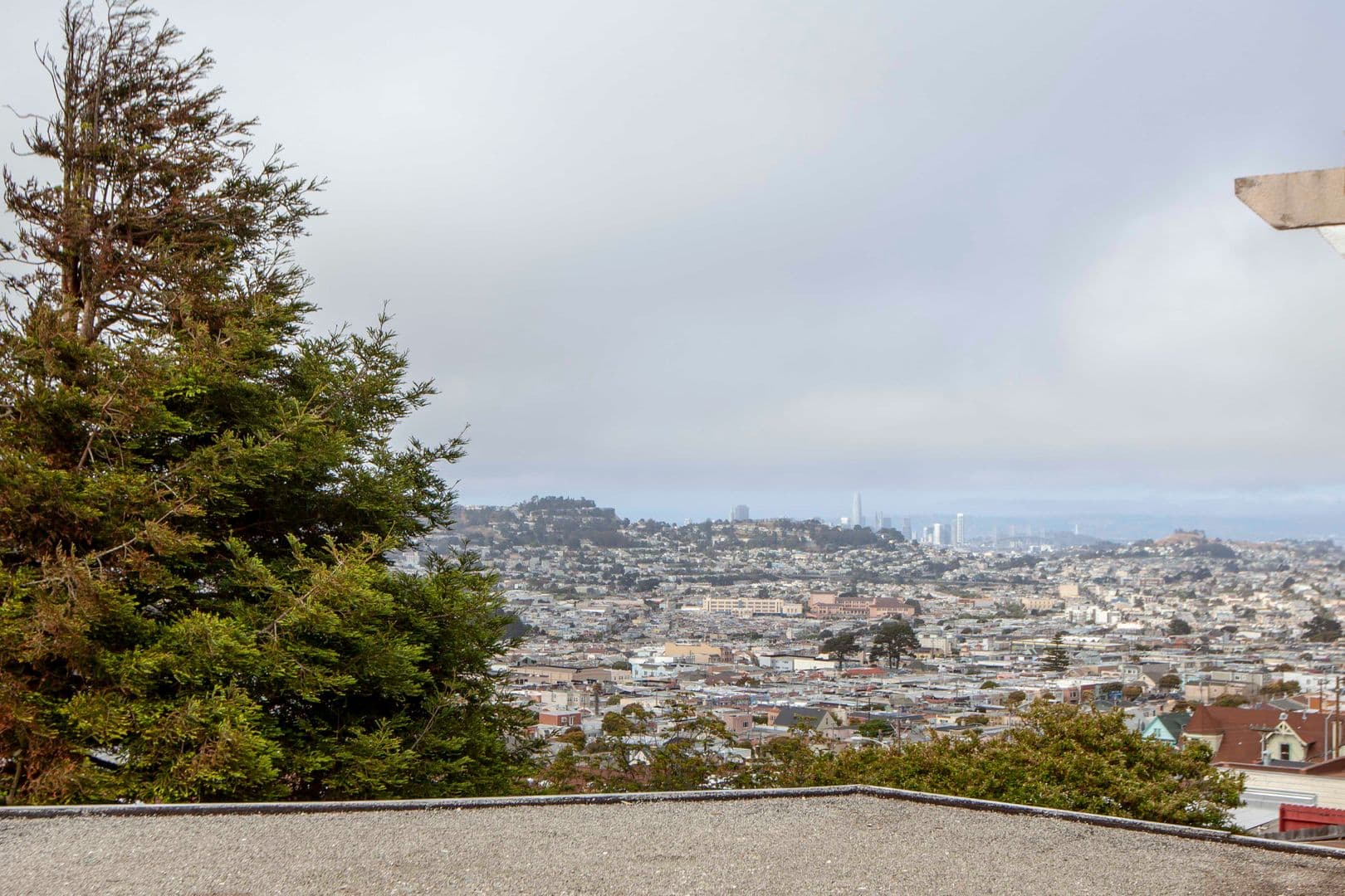 Daly City Apartment: 898 Templeton Ave