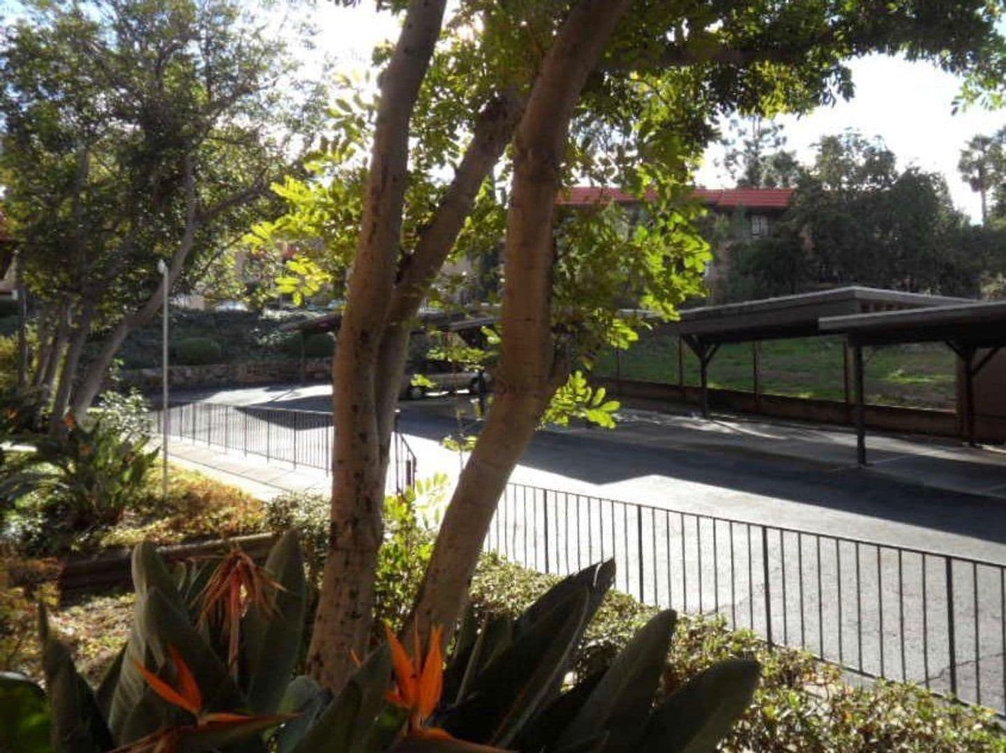 La Mesa Apartment: 8691 Lemon Ave.