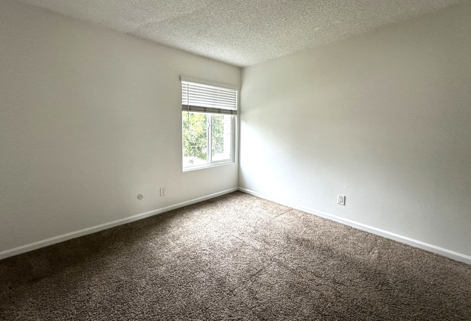 Chula Vista Apartment: 210 Quintard St