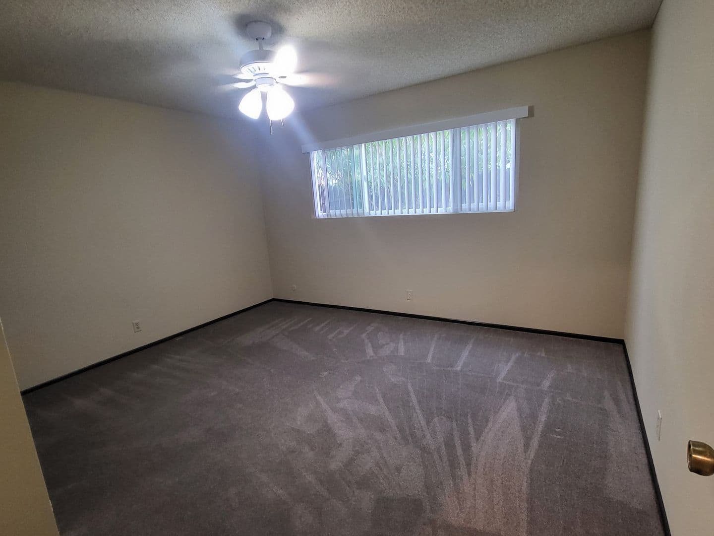 Anaheim Apartment: 1255 S Nutwood St