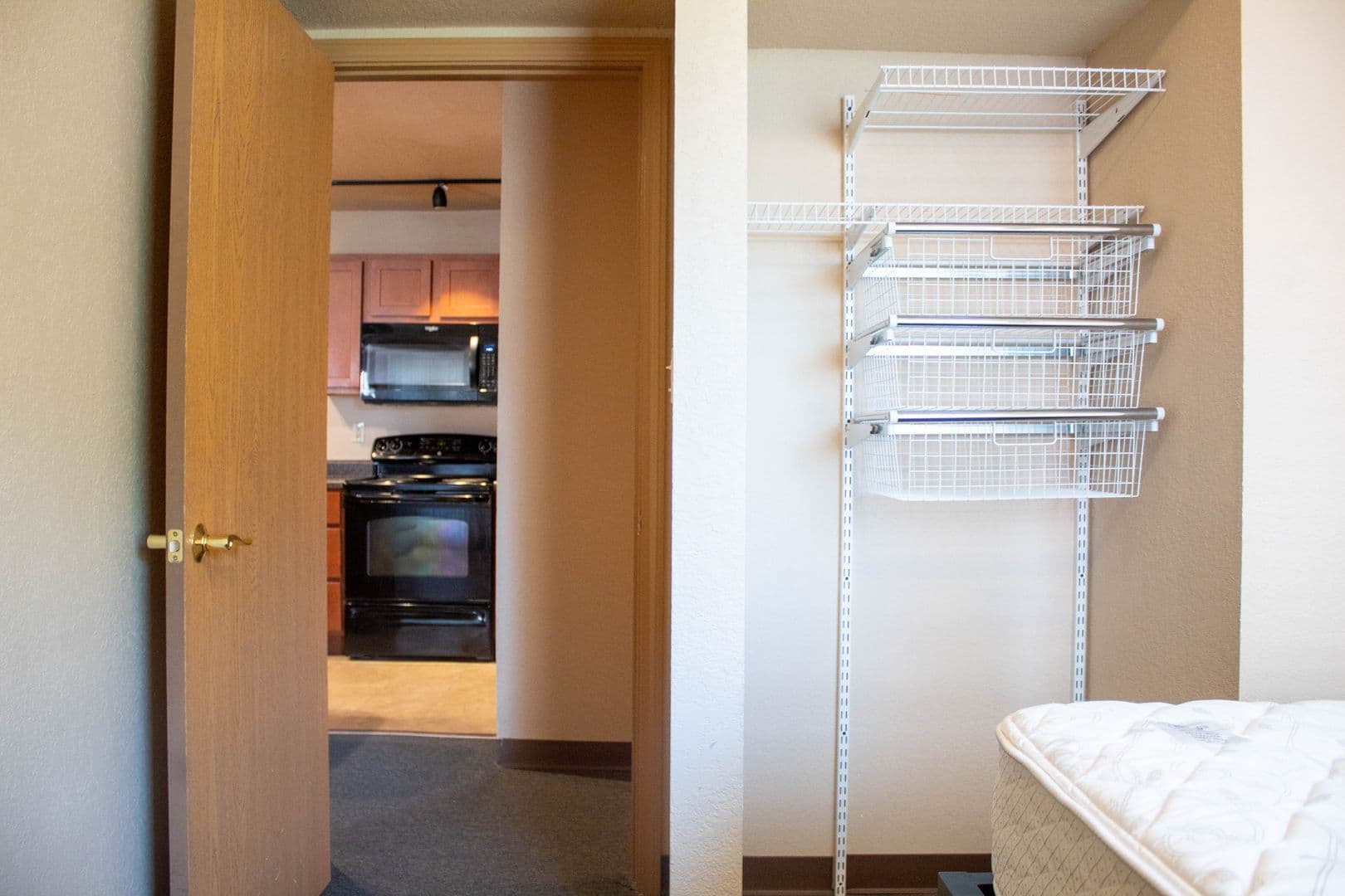 Champaign Apartment: 207 S Fifth