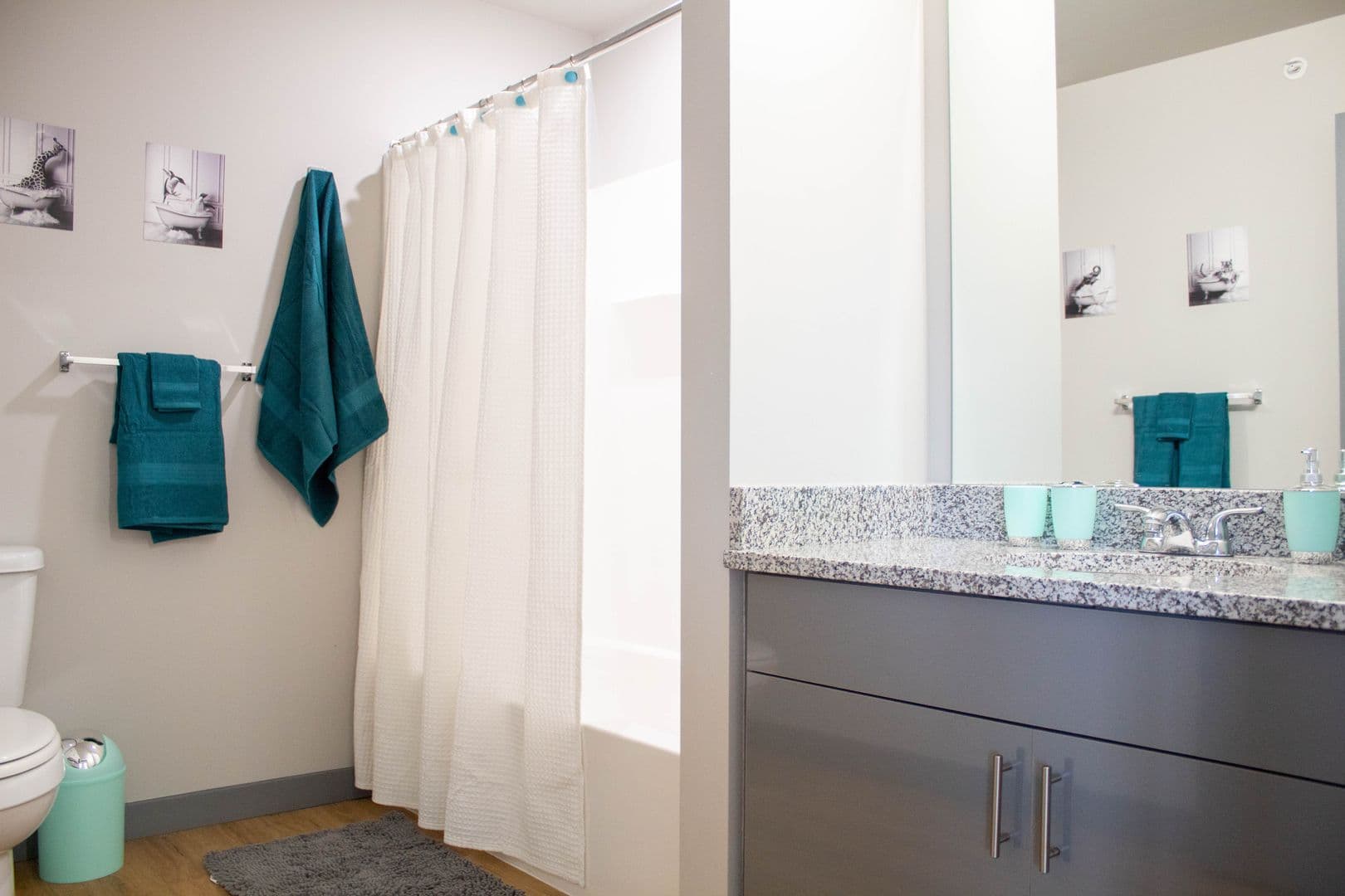 Champaign Apartment: 615 S Wright
