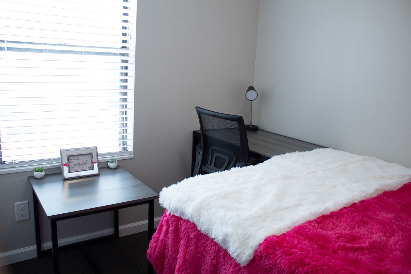 Champaign Apartment: 903 S Locust Street