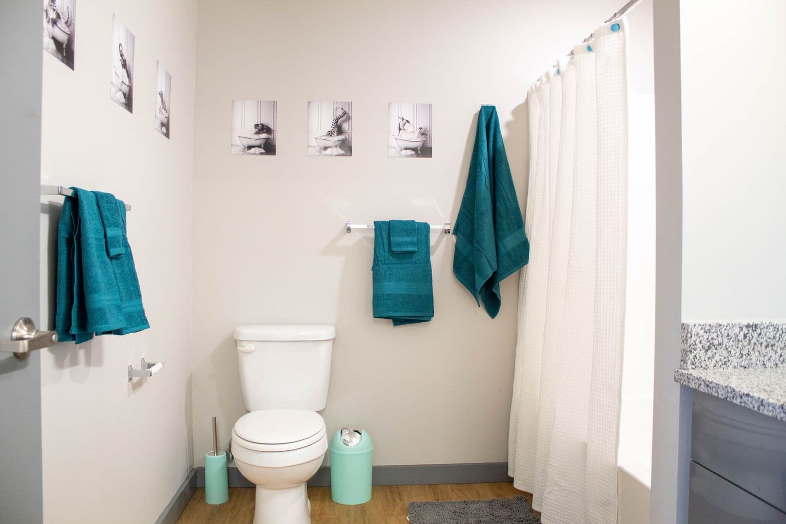 Champaign Apartment: 615 S Wright