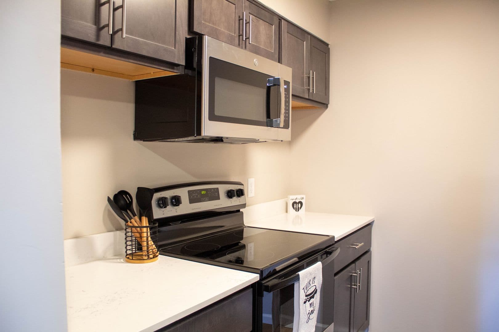 Champaign Apartment: 107 E Springfield Avenue